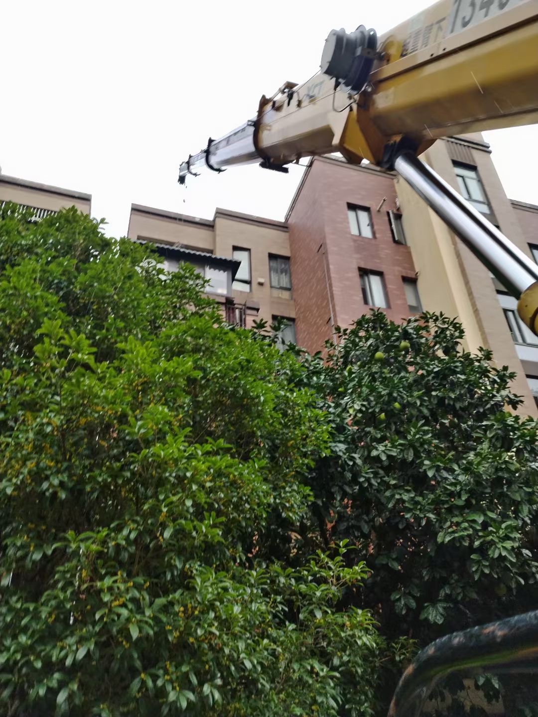大理市注塑机吊装搬运案例分享